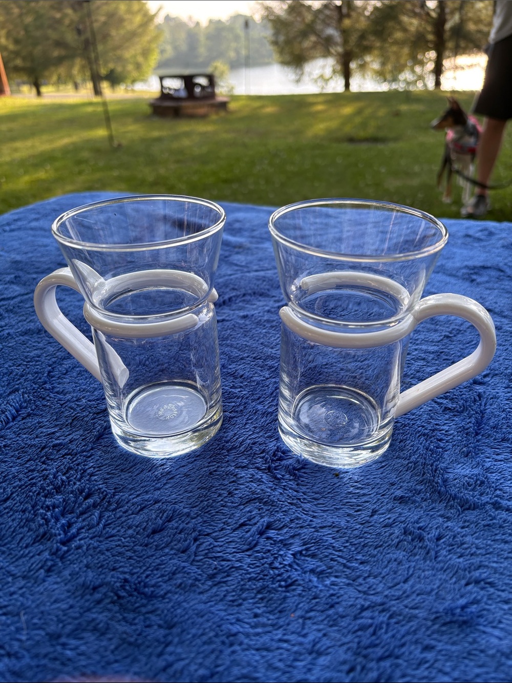 Pier 1 Inspiration Glass Mugs Rare. Set of 2